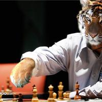 simul